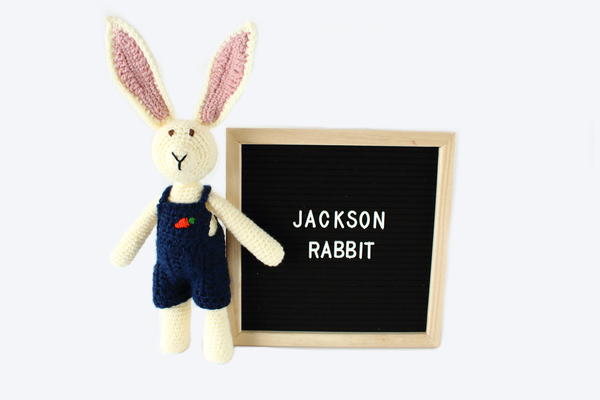 Jackson Rabbit Jackson Rabbit