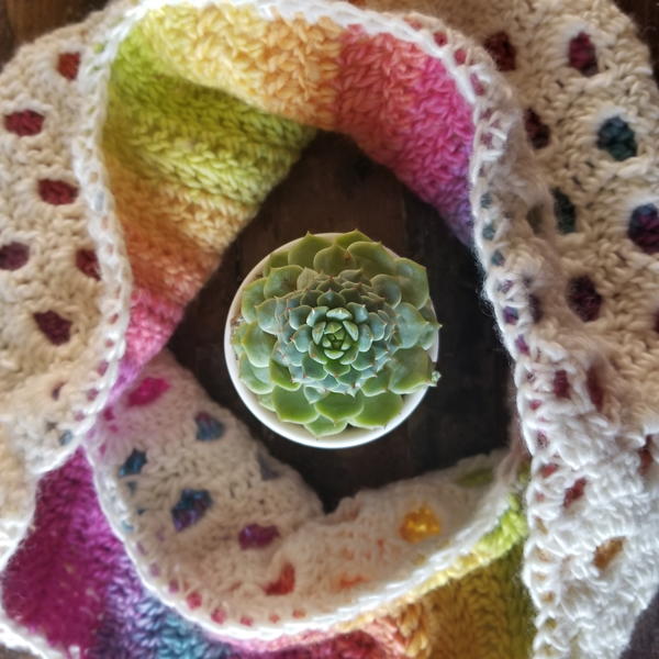 Peek A Boo Cowl Peek A Boo Cowl