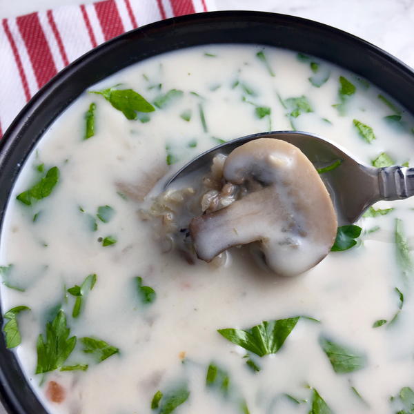 Creamy Mushroom Soup Creamy Mushroom Soup