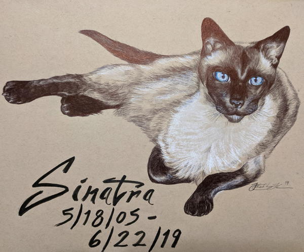 A commission piece Kim did in memoriam of Sinatra the cat. Drawn in ballpoint pen.