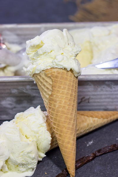 French Vanilla Ice Cream French Vanilla Ice Cream