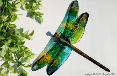 Gorgeous Dragonfly Wings Gorgeous Dragonfly Wings