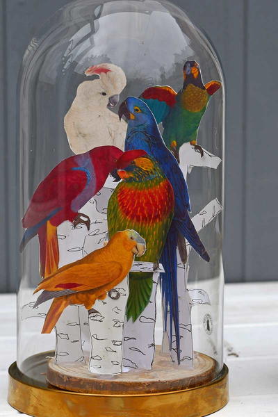 Paper Parrot Cloche Display Paper Parrot Cloche Display