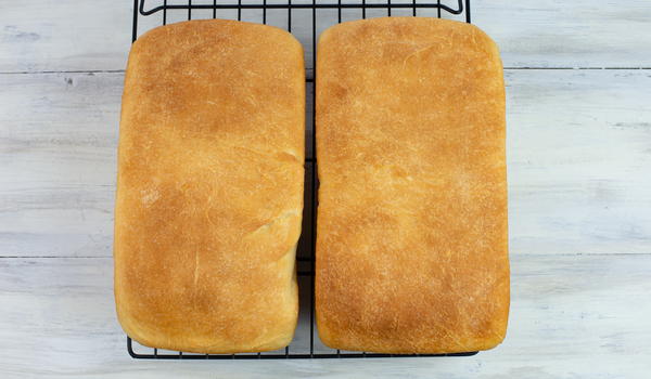 Homemade Sandwich Bread Homemade Sandwich Bread