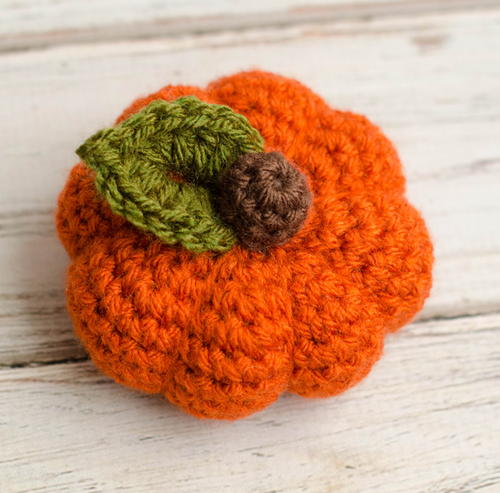 Small Pumpkin Small Pumpkin