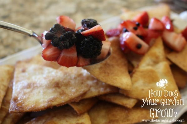 Very Berry Dessert Nachos Very Berry Dessert Nachos