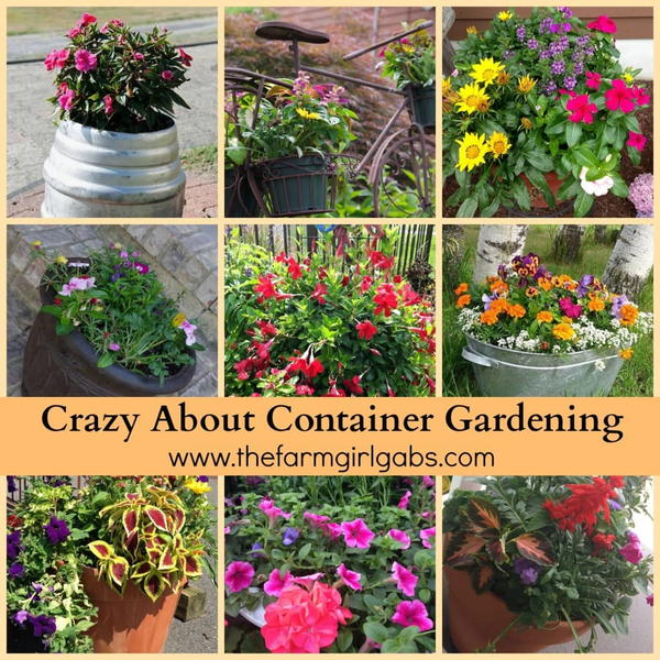 Crazy About Container Gardening Crazy About Container Gardening