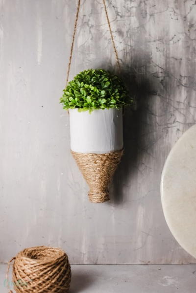Plastic Bottle Planter Plastic Bottle Planter