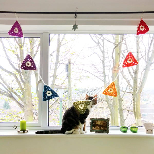 Rainbow Bunting Rainbow Bunting