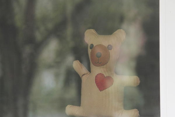 Neighborhood Bear Neighborhood Bear