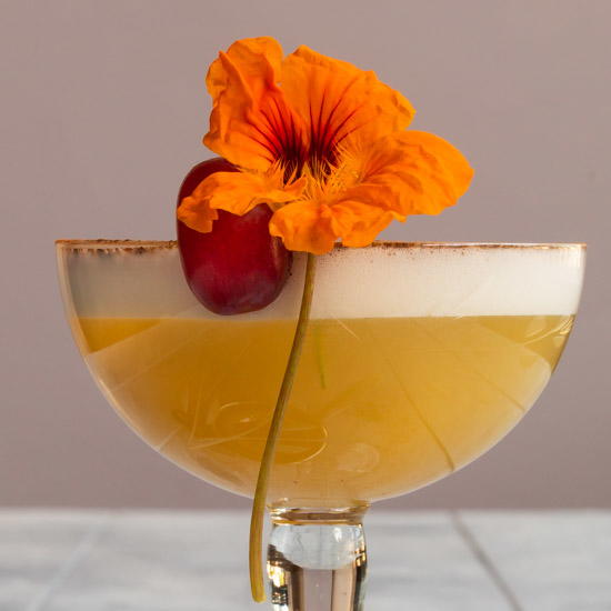 Autumn Grape Silver Sour Cocktail Autumn Grape Silver Sour Cocktail