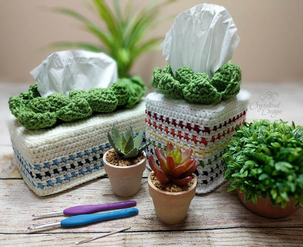 Succulent Tissue Cover Succulent Tissue Cover