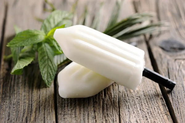 Blender Creamy Coconut Milk Popsicles Blender Creamy Coconut Milk Popsicles