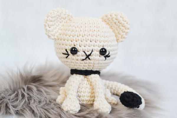 Cecil The Cat Cecil The Cat