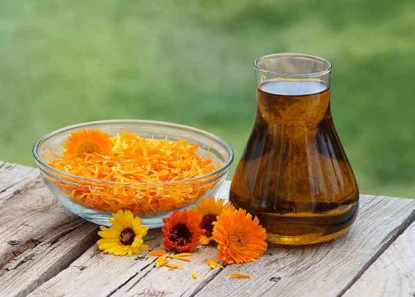 How To Make Calendula Infused Oil How To Make Calendula Infused Oil
