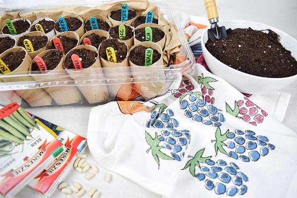 Diy Mini Greenhouse Diy Mini Greenhouse