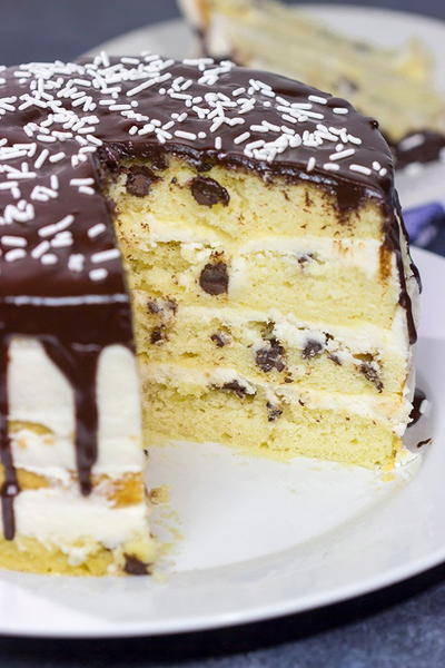 Chocolate Chip Cake Chocolate Chip Cake