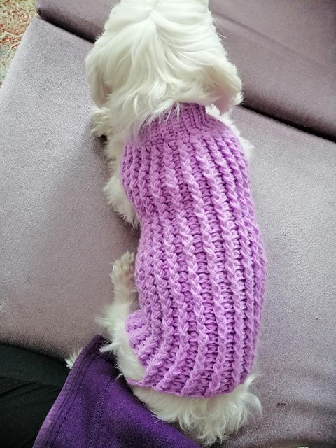 Lilly Winter Puppy Sweater Lilly Winter Puppy Sweater