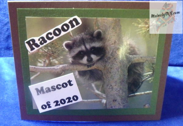 The Racoon Mascot Of The Year - Funny Greeting Card The Racoon, Mascot Of The Year - Funny Greeting Card