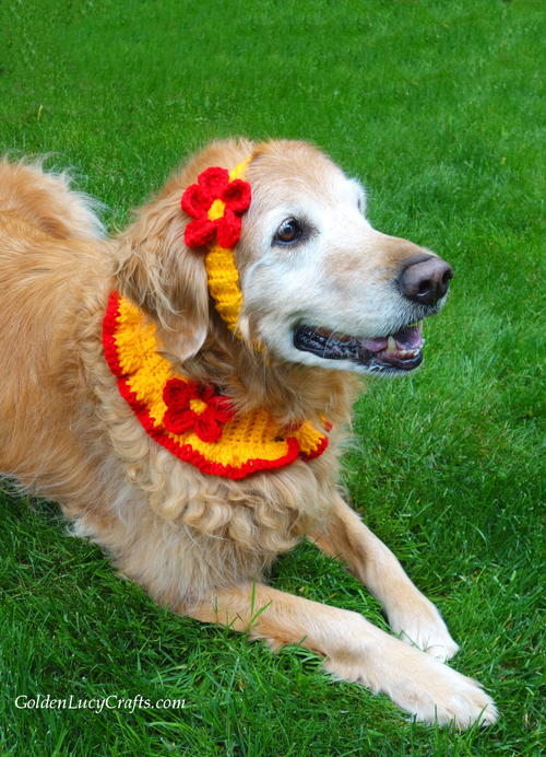 Crochet Dog Collar And Headband Crochet Dog Collar And Headband