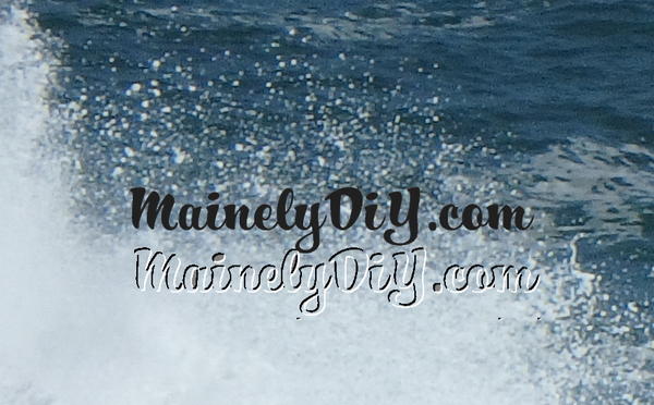 You Deserve The Credit You Deserve The Credit