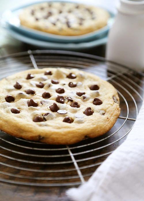 Giant Chocolate Chip Cookie Giant Chocolate Chip Cookie