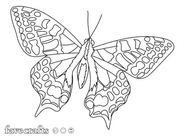 A Simply Elegant Butterfly Coloring Page A Simply Elegant Butterfly Coloring Page