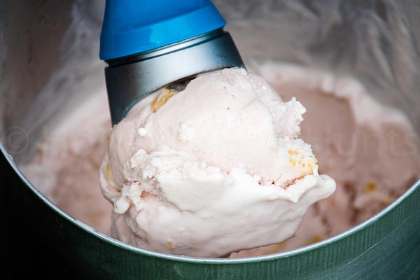 Rhubarb Cookies And Cream Ice Cream Rhubarb Cookies And Cream Ice Cream