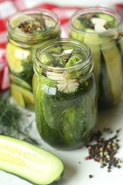 Easy Homemade Refrigerator Dill Pickles Easy Homemade Refrigerator Dill Pickles