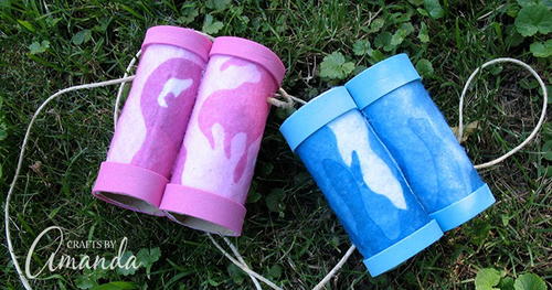 Cardboard Tube Binoculars Cardboard Tube Binoculars
