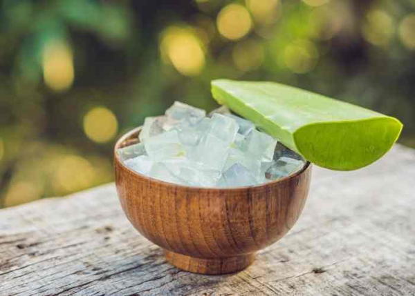 Frozen Aloe Vera Cubes For Sunburn Relief Frozen Aloe Vera Cubes For Sunburn Relief