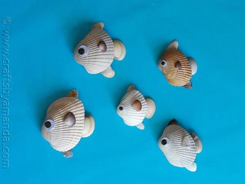Seashell Fish Seashell Fish