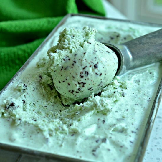 Mint Chocolate Chip Ice Cream Mint Chocolate Chip Ice Cream