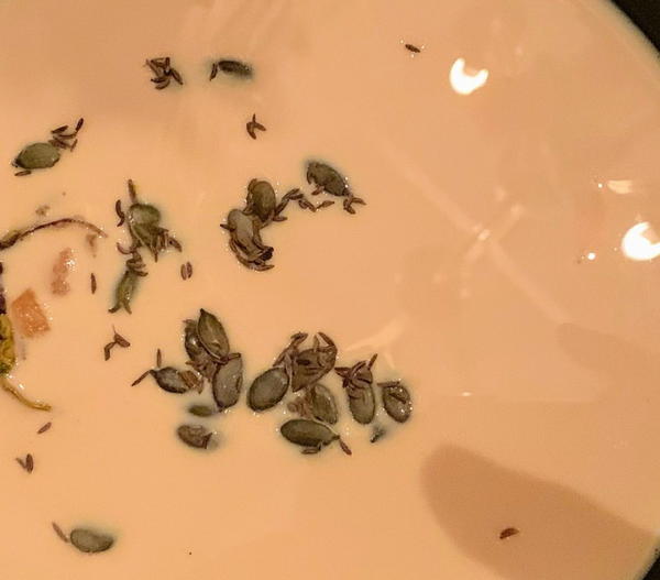 Chilled Goats Milk Soup Chilled Goats Milk Soup