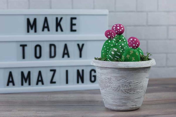 Cactus Rock Garden Tutorial Cactus Rock Garden Tutorial