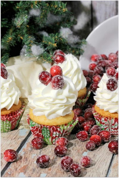 Cranberry Bliss Cupcake