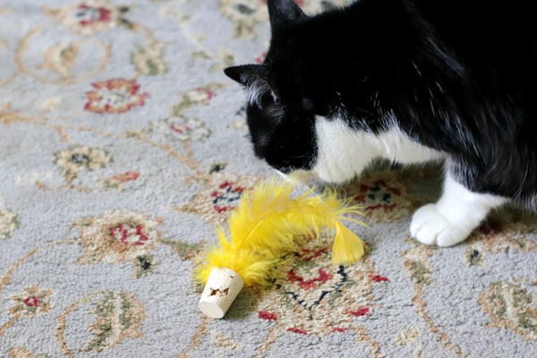 Easy Cork Cat Toys Easy Cork Cat Toys