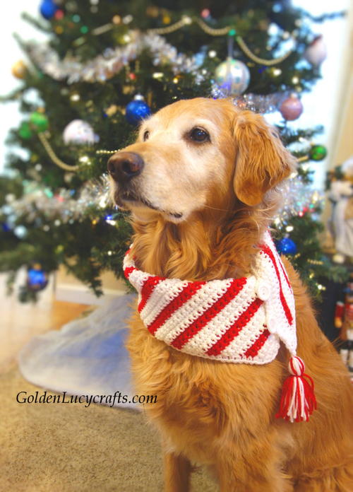 Crochet Christmas Candy Cane Dog Scarf Crochet Christmas Candy Cane Dog Scarf