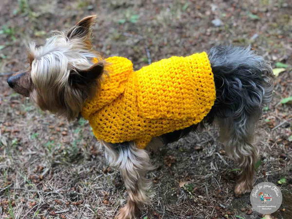 Small Dog Hoodie Sweater Small Dog Hoodie Sweater