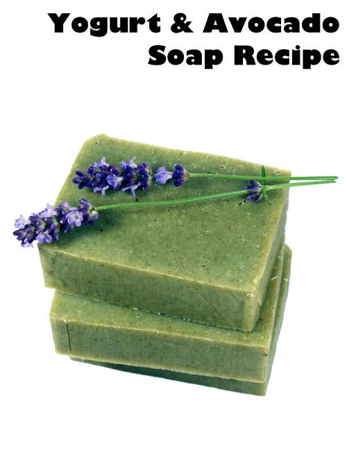 Avocado Soap Recipe With Greek Yogurt And Avocado Avocado Soap Recipe With Greek Yogurt And Avocado