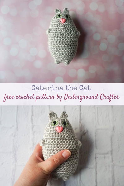 Caterina The Cat Caterina The Cat