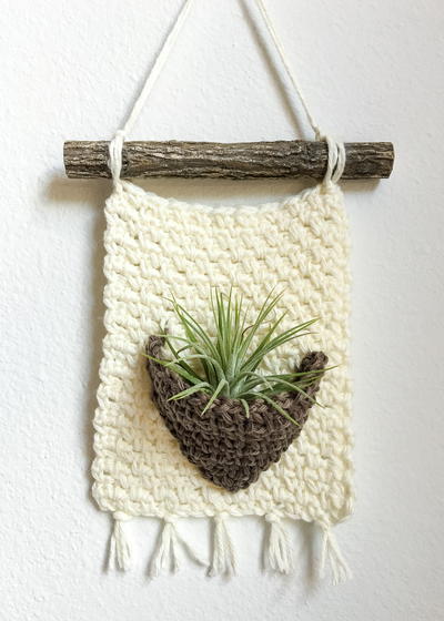 Rustic Air Plant Wall Hanger Rustic Air Plant Wall Hanger