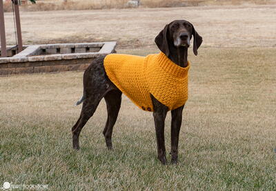 Dog Sweater For Large Dogs