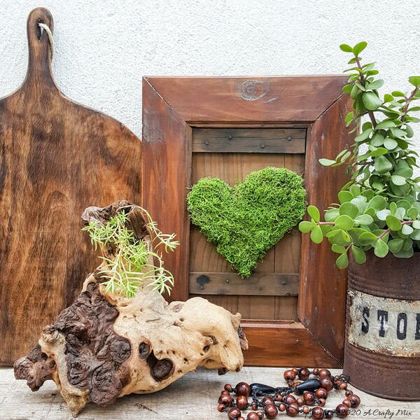 How To Freshen Up Moss How To Freshen Up Moss