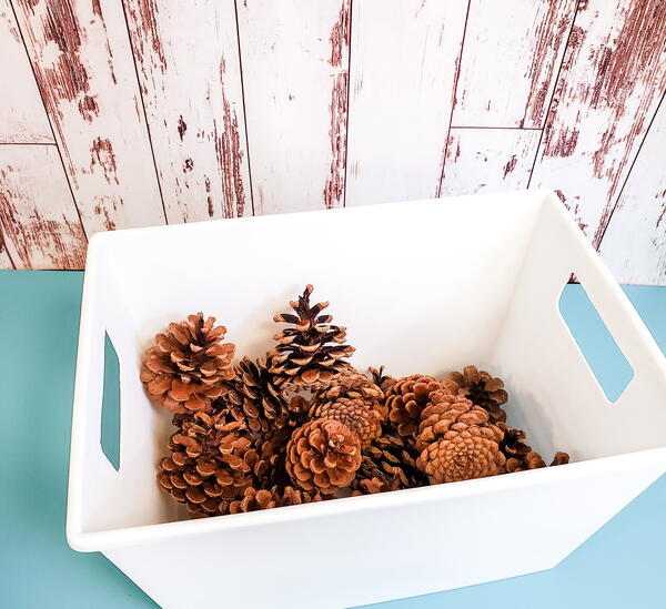 Bucket of pine cones