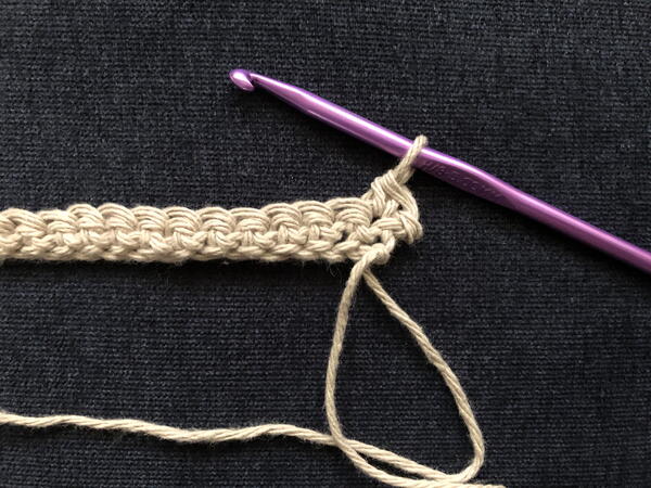 Image shows step 2 for crocheting the Solomon's Knot stitch.