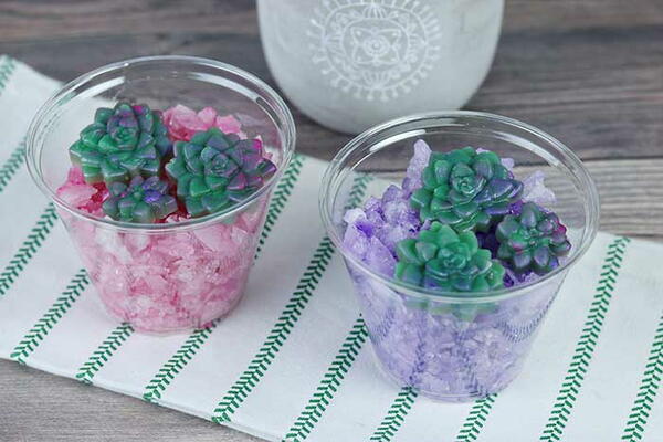 Succulent Bath Salts Succulent Bath Salts