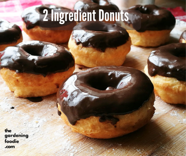 2 Ingredient Donuts 2 Ingredient Donuts