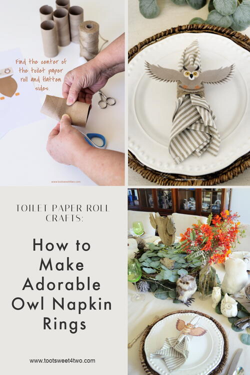 Toilet Paper Roll Crafts How To Make Adorable Owl Napkin Rings Toilet Paper Roll Crafts: How To Make Adorable Owl Napkin Rings