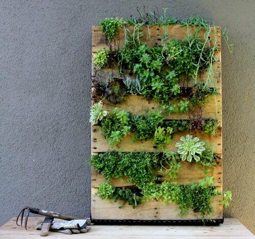 Easy Vertical Succulent Garden From A Wood Pallet Easy Vertical Succulent Garden From A Wood Pallet